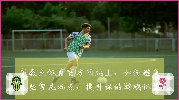 在赢点体育官方网站上，如何避免这些常见坑点，提升你的游戏体验！
