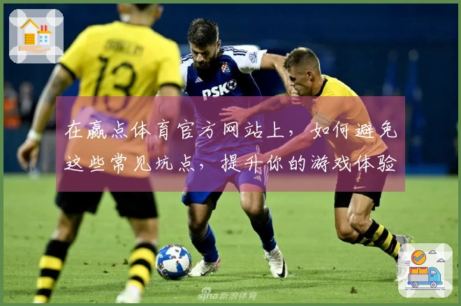 在赢点体育官方网站上，如何避免这些常见坑点，提升你的游戏体验！