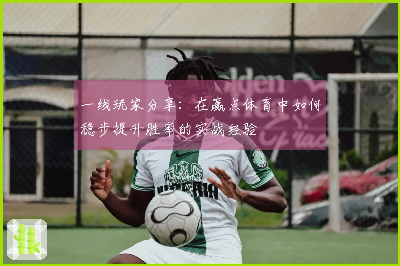 一线玩家分享：在赢点体育中如何稳步提升胜率的实战经验