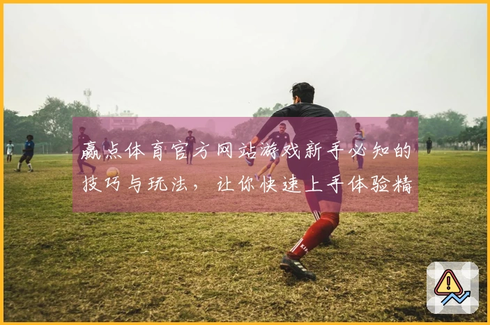 赢点体育官方网站游戏新手必知的技巧与玩法，让你快速上手体验精彩对战