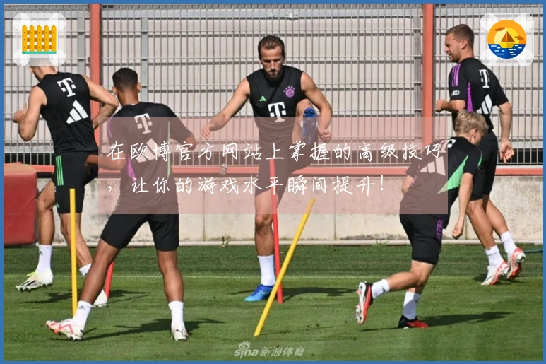 在欧博官方网站上掌握的高级技巧，让你的游戏水平瞬间提升！